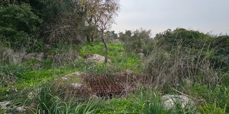 בורות בתל זאבים בחריש