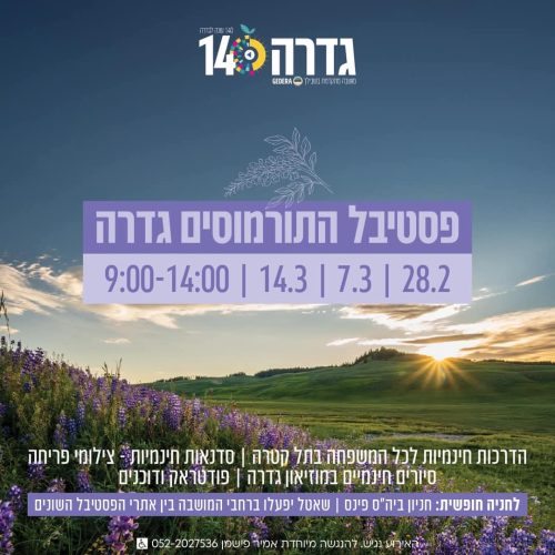 פסטיבל התורמוסים בגדרה 2025