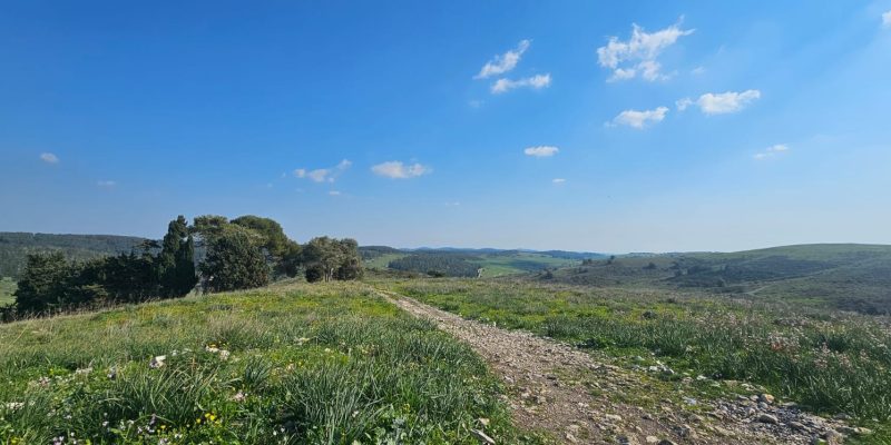 מצפה איתי ביקנעם: לזכרו של איתי גליסקו ז"ל