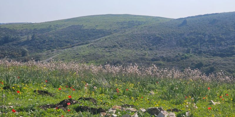 מצפה איתי ביקנעם: לזכרו של איתי גליסקו ז"ל