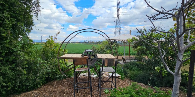 התריס: פוד טראק בשרי משובח אל נוף העמק