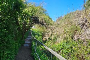 שמורת יקום ושער פולג