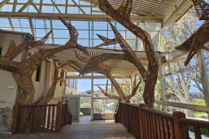 בית הראשונים עמק חפר