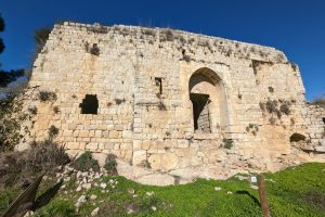 מצודת הונין