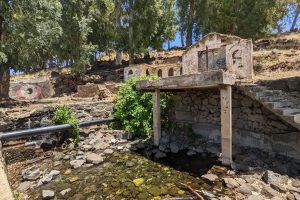 עין ג'ילבון ובריכת הקצינים