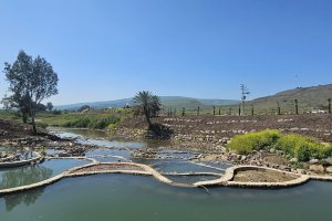 סכר אלומות החדש בירדנית: פרויקט מהפכני בירדן הדרומי