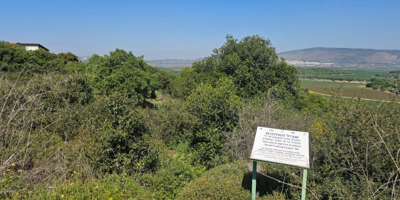 שביל סובב הושעיה: שבילים טבעתיים מלאי טבע, נוף והיסטוריה