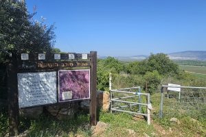 שביל סובב הושעיה: שבילים טבעתיים מלאי טבע, נוף והיסטוריה