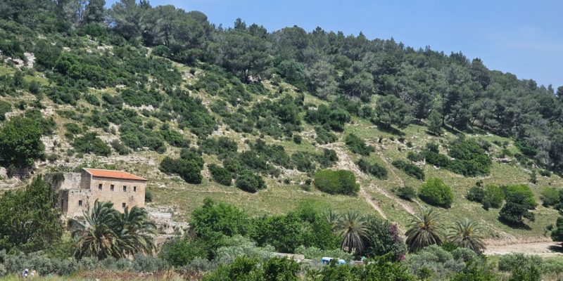 פסטיבל האביב בנחל ציפורי 2025