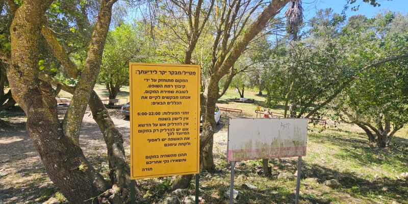 עמק הזיתים בדרך לעין אולמוסים