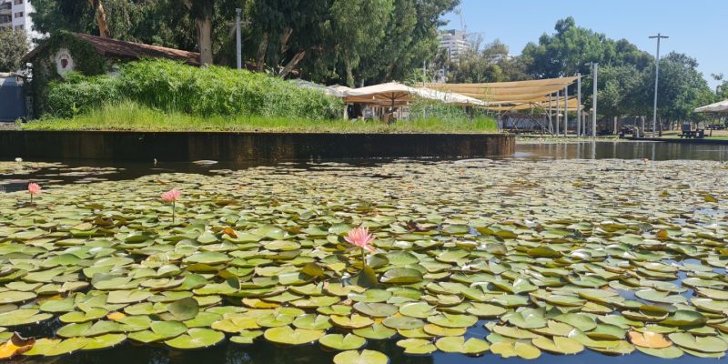גן בעברית ראשון לציון: חוויה לימודית וכיפית לכל המשפחה