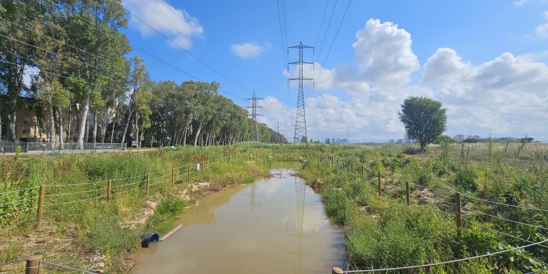 מרחב המרפסת בנחל גדורה