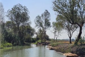 עין עדעד המחודש