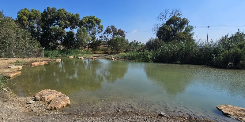 עין עדעד המחודש