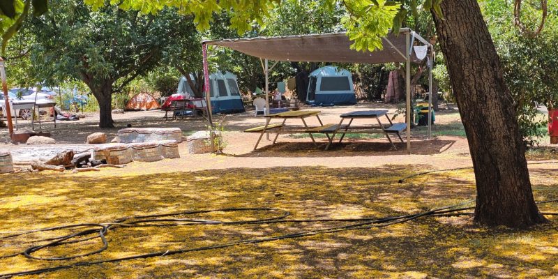 חניון הבאניס: אתר קמפינג בשאר ישוב