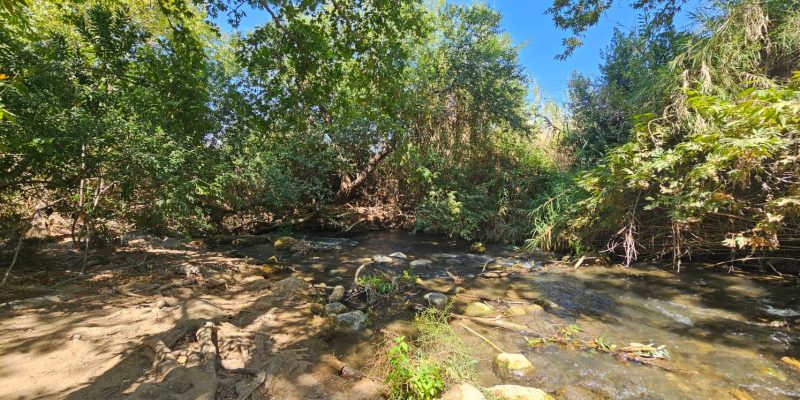 חניון הבאניס: אתר קמפינג בשאר ישוב