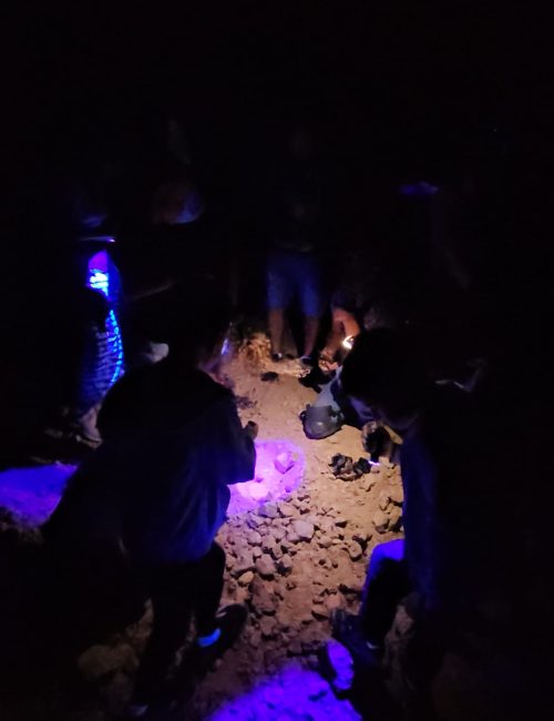 איש העקרבים של מצפה רמון: סיור עקרבים עם נעם שלו/