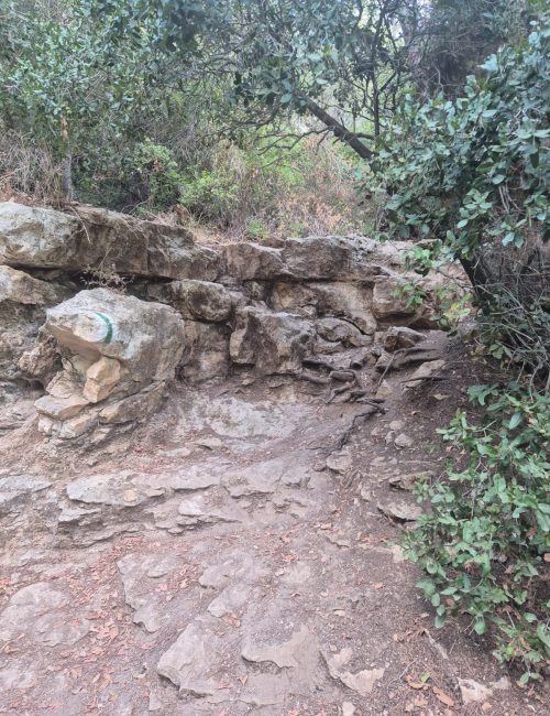 נחל גלים: מסלול בלב הכרמל מהאוניברסיטה ועד לטירת כרמל