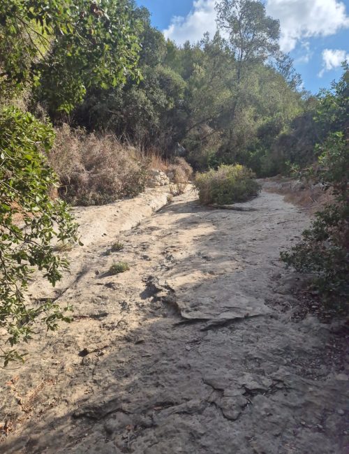 נחל גלים: מסלול בלב הכרמל מהאוניברסיטה ועד לטירת כרמל