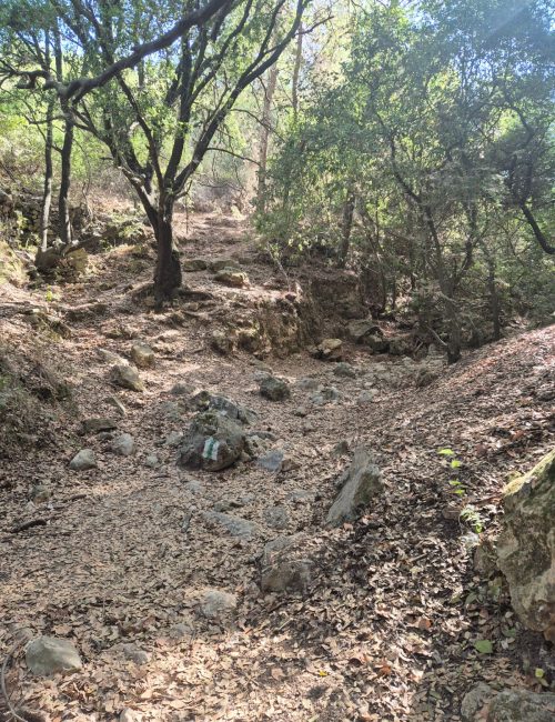 נחל גלים: מסלול בלב הכרמל מהאוניברסיטה ועד לטירת כרמל