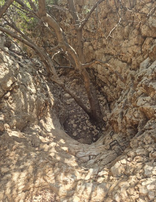 נחל יצפור בסתיו