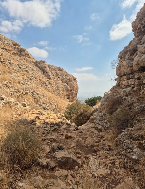 נחל יצפור בסתיו