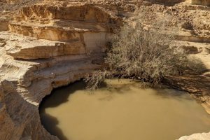 נחל שרף: מסלול גבים פחות מוכר במזרח הנגב