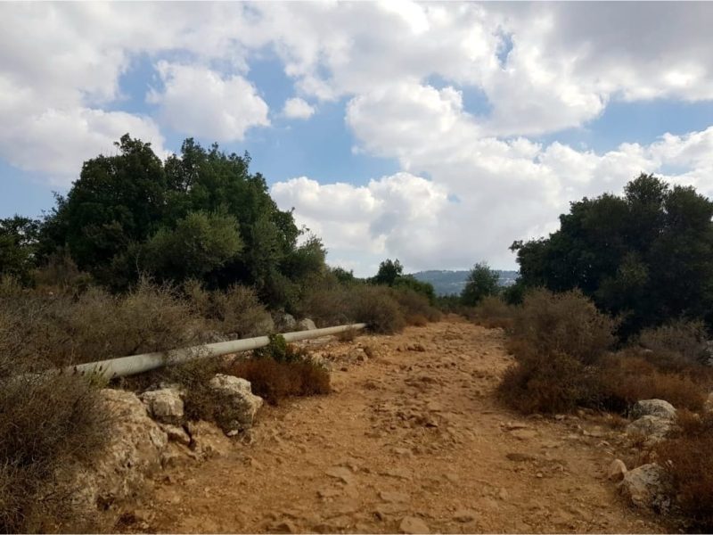 שמורת הטבע נחל עמוד