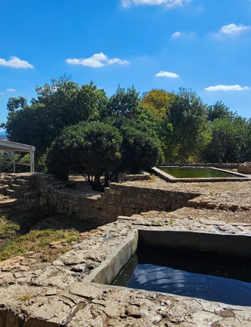 שביל המעיין רמת הנדיב