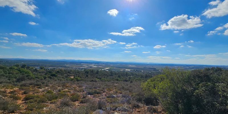שביל המעיין רמת הנדיב