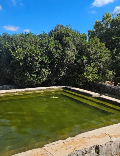 שביל המעיין רמת הנדיב