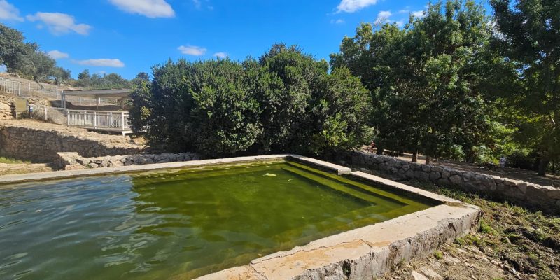 שביל המעיין רמת הנדיב