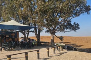 עגלת קפה השמורה 215