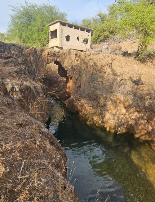 נחל צלמון תחתון צילום: חיים חבשוש