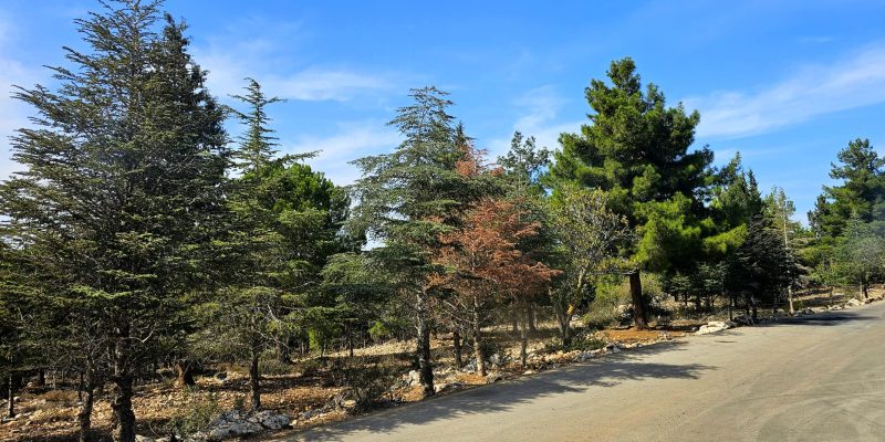 מערת הקשת פארק אדמית