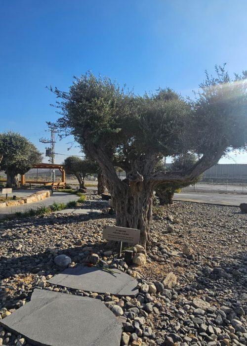 נתיב התקווה