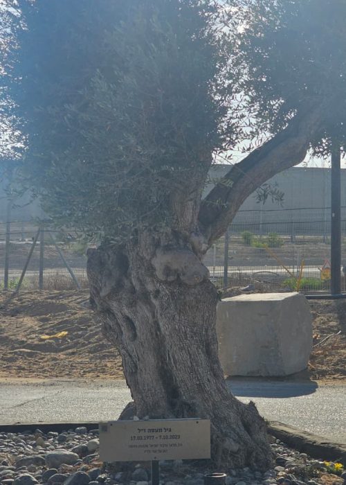 נתיב התקווה