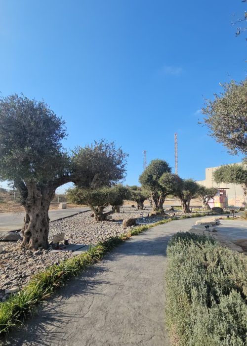 נתיב התקווה