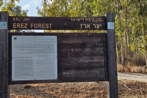 יער ארז: גשר הקשתות, תחנת דיר סנייד ואנדרטת הפועלים המצרים