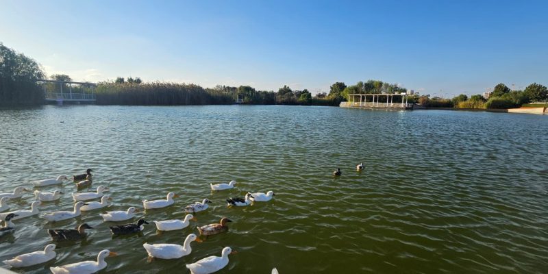 פארק האגם בנתיבות