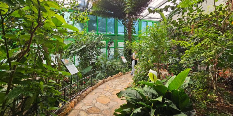 בית הפרפרים באקווריום ישראל