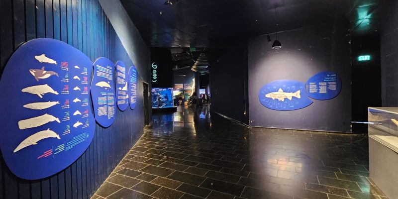 אקווריום ישראל