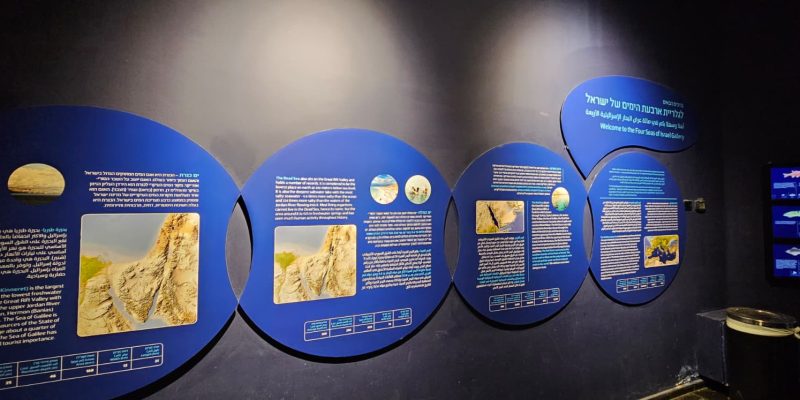 אקווריום ישראל