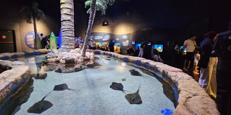 אקווריום ישראל