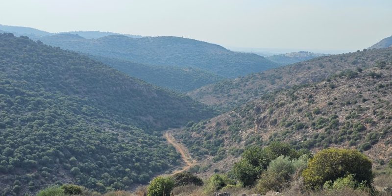 שביל סובב כרמיאל