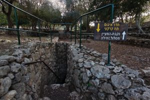 עין קובי צילום יעל קורץ