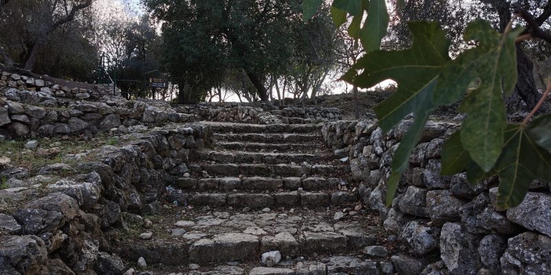 עין קובי צילום יעל קורץ