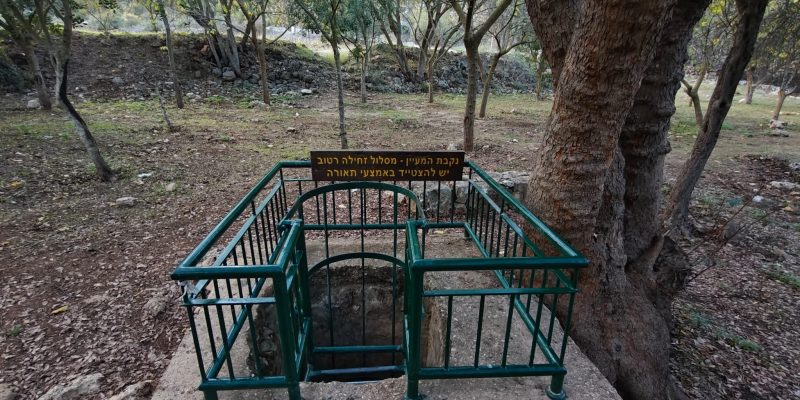עין קובי צילום יעל קורץ
