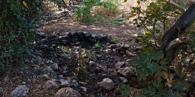 עין מטע שראה ימים טובים יותר צילום יעל קורץ