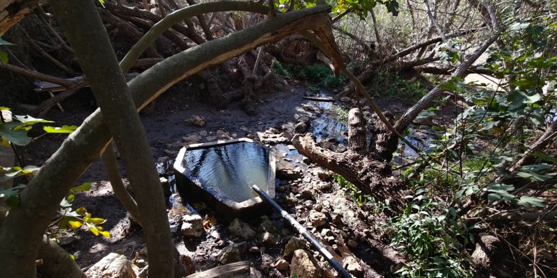 עין האם צילום יעל קורץ